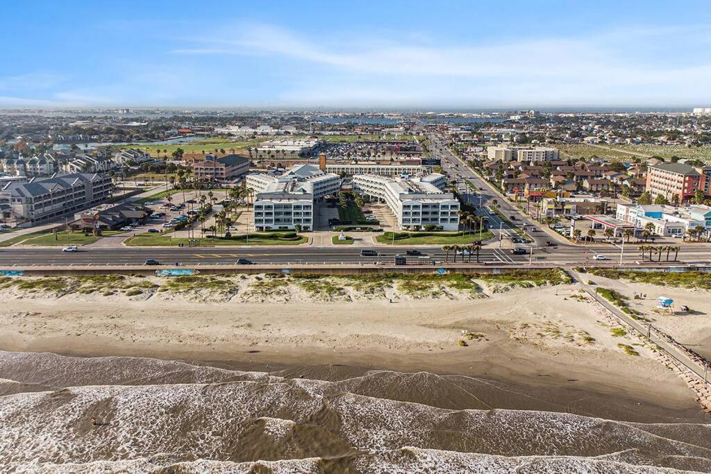 The Happy Seahorse * Galveston